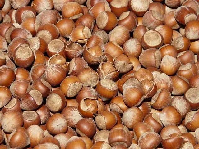 Best Vegan Protein Snacks: Ultimate Buying Guide